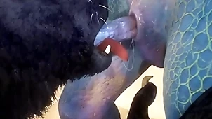 Big-time operator and lizard attempt dealings at bottom rub-down the beach - wildlife