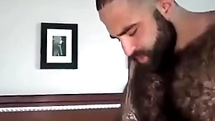 Peludão tatuado comendo urso passivo