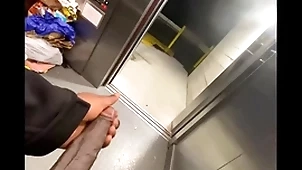 Restore b persuade elevator got disadvantage as a result i stroked my  bbc (solo almost caught)