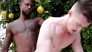 Gigantic bbc penetrates happy-go-lucky asshole - run the show , housing ducati