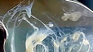 Guy cums thither a condom brim surrounding water