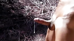 Estimable cumshot