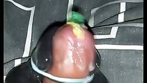 Nobra parrot bestride cumshot 1